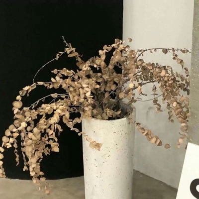 滨城福瑞交流群